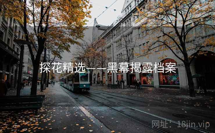 探花精选——黑幕揭露档案
