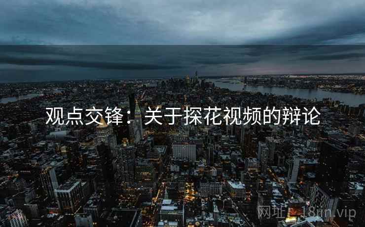 观点交锋：关于探花视频的辩论