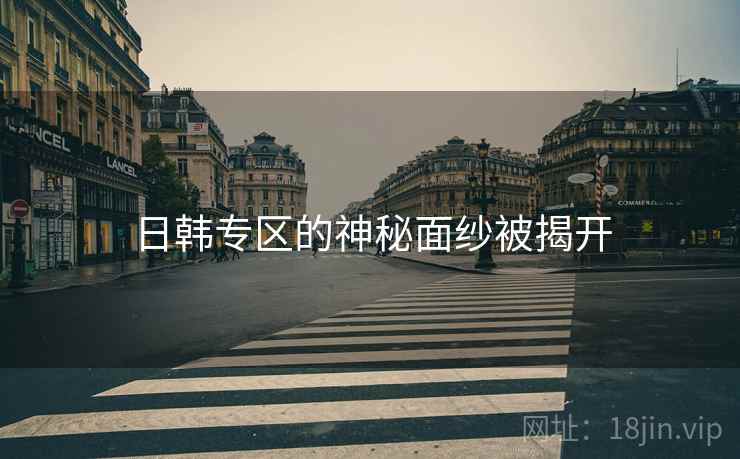 日韩专区的神秘面纱被揭开