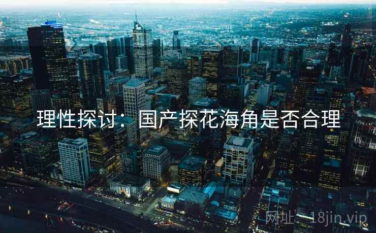 理性探讨：国产探花海角是否合理