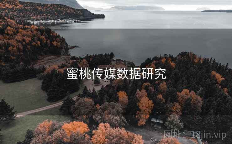 蜜桃传媒数据研究
