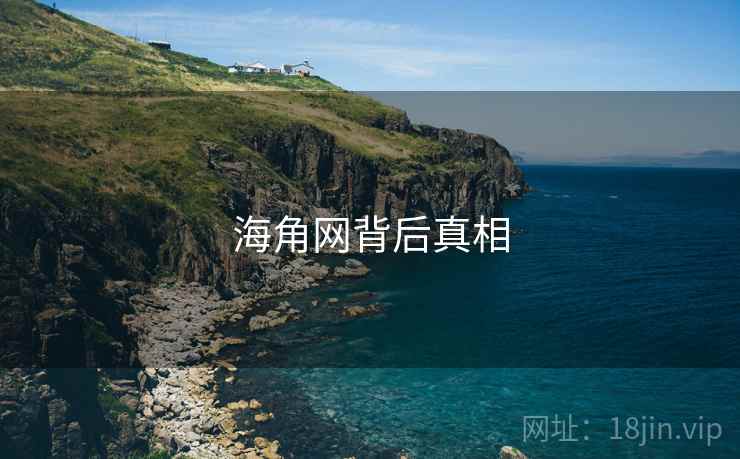 海角网背后真相