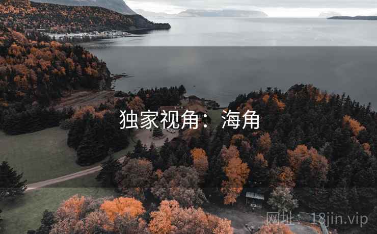 独家视角：海角