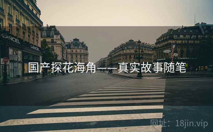 国产探花海角——真实故事随笔