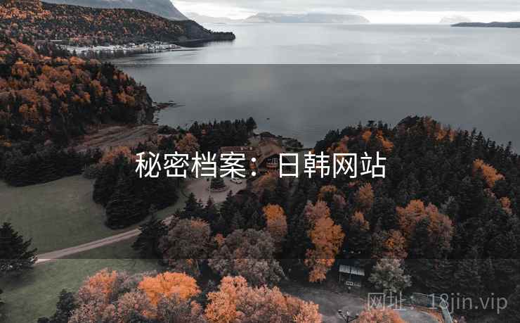 秘密档案：日韩网站
