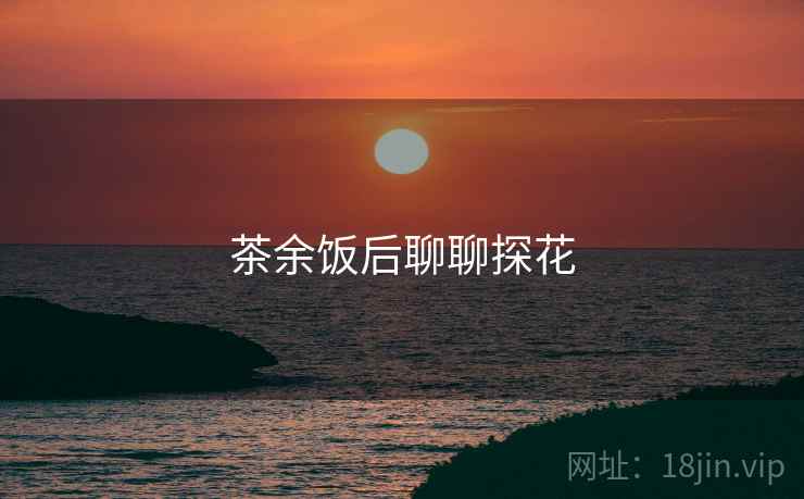 茶余饭后聊聊探花
