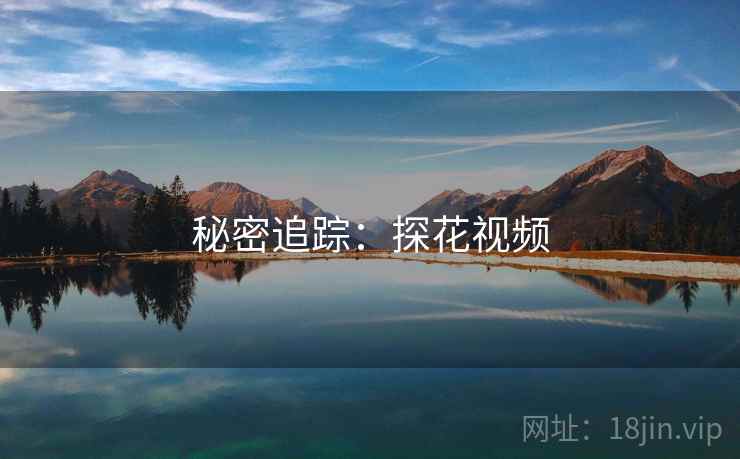 秘密追踪：探花视频