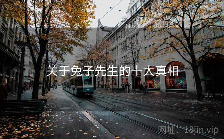关于兔子先生的十大真相