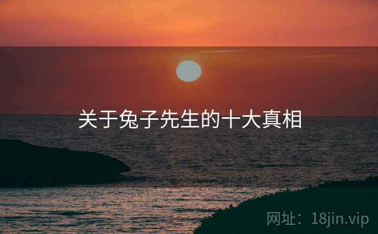 关于兔子先生的十大真相