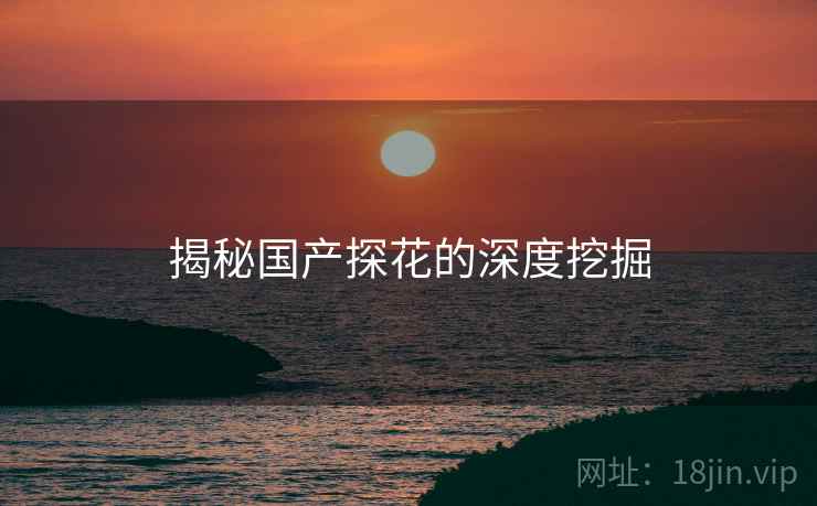 揭秘国产探花的深度挖掘