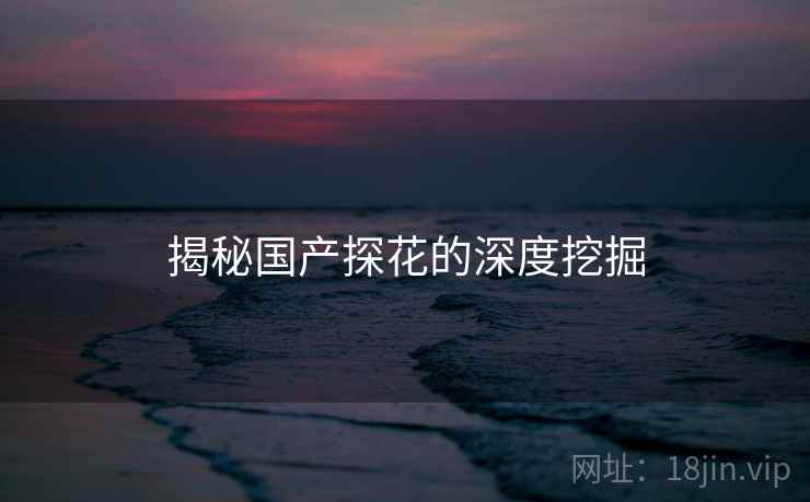 揭秘国产探花的深度挖掘