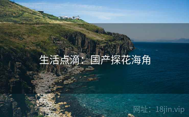 生活点滴：国产探花海角