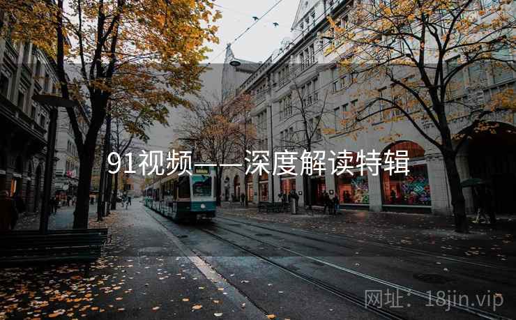 91视频——深度解读特辑