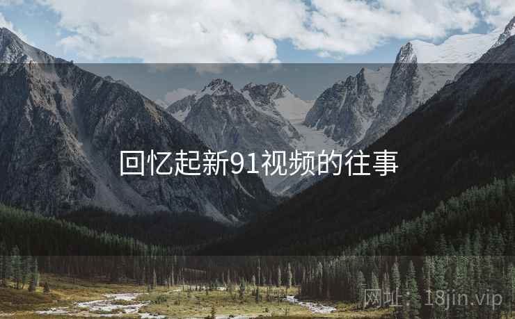 回忆起新91视频的往事
