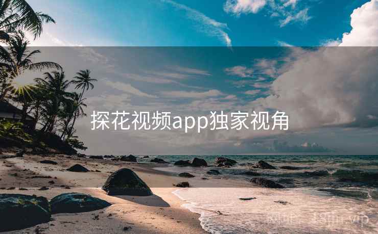 探花视频app独家视角