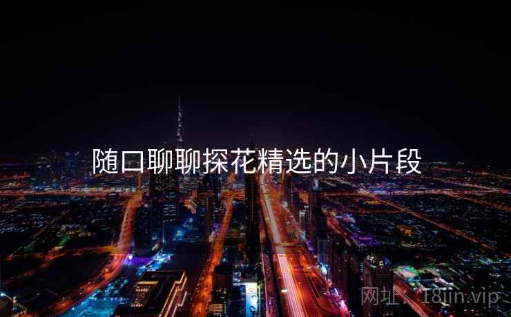 随口聊聊探花精选的小片段