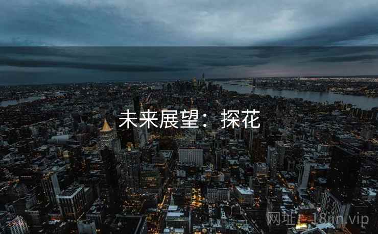 未来展望：探花