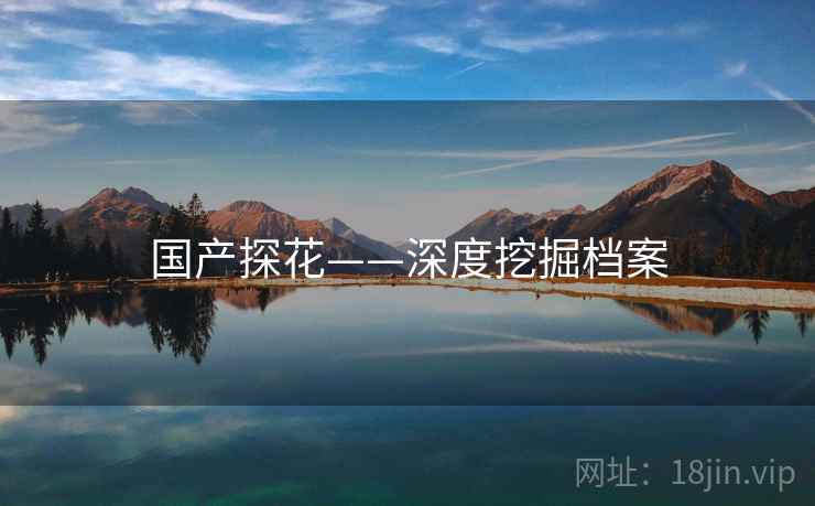 国产探花——深度挖掘档案
