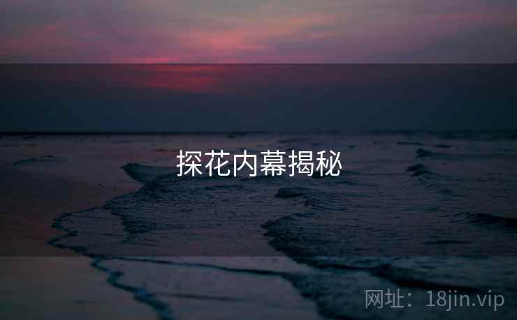 探花内幕揭秘