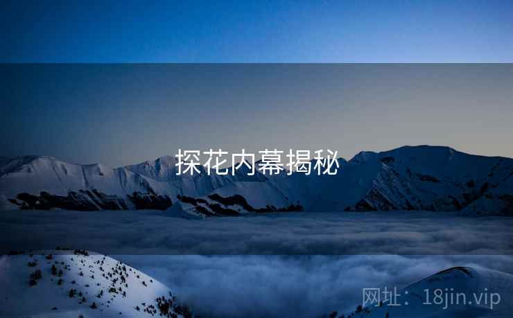 探花内幕揭秘