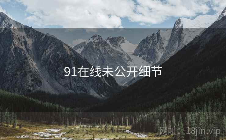 91在线未公开细节