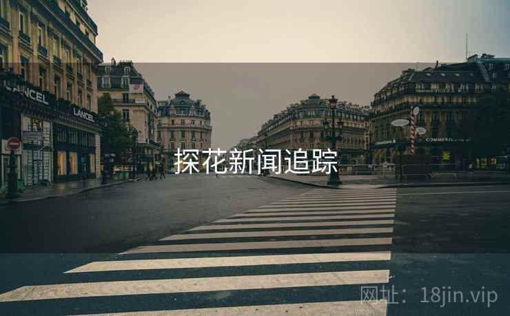 探花新闻追踪