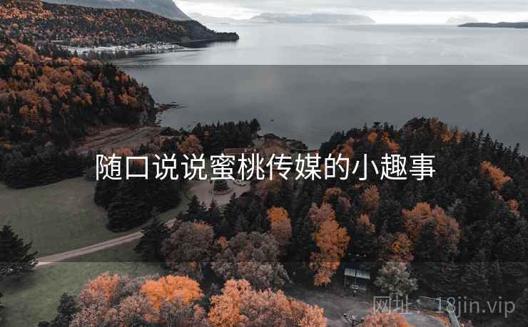 随口说说蜜桃传媒的小趣事