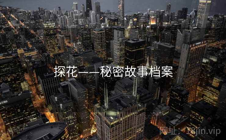 探花——秘密故事档案