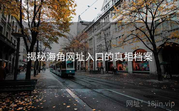 揭秘海角网址入口的真相档案