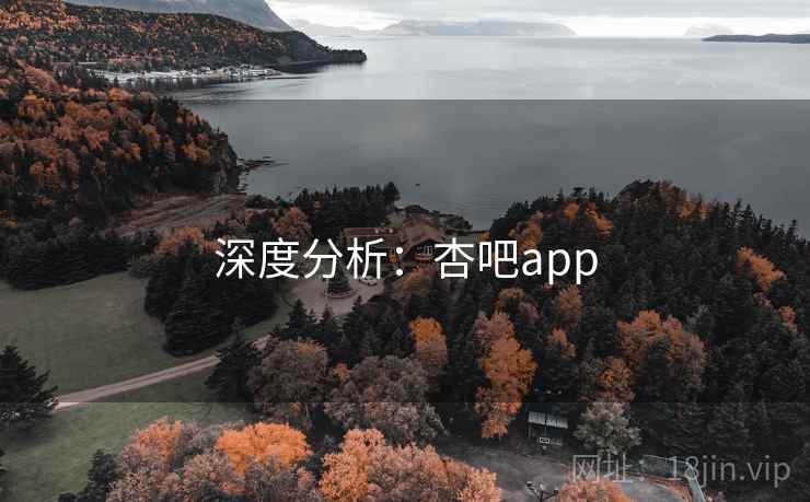 深度分析：杏吧app