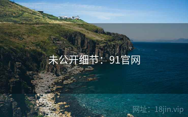 未公开细节：91官网