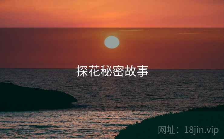 探花秘密故事